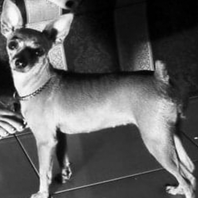 Bosques del Silencio