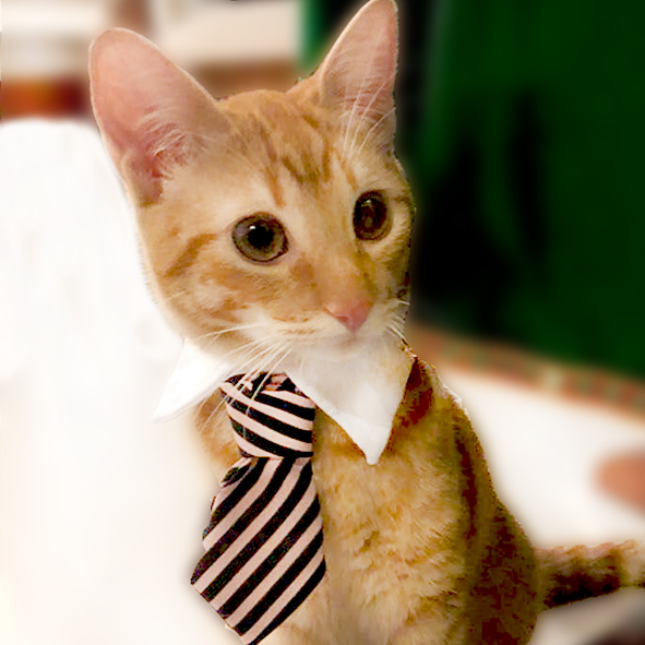 Bosques del Silencio