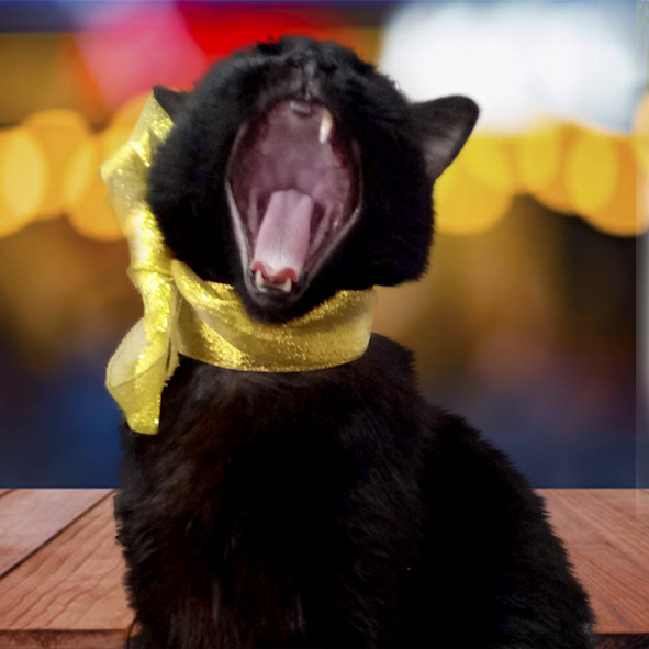 Bosques del Silencio