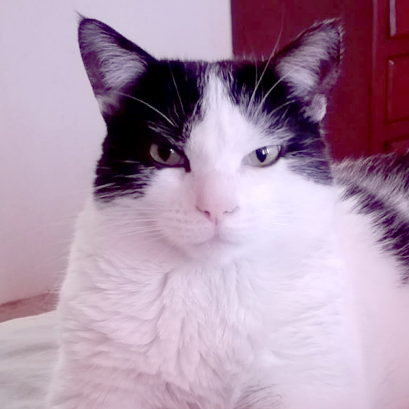 Bosques del Silencio