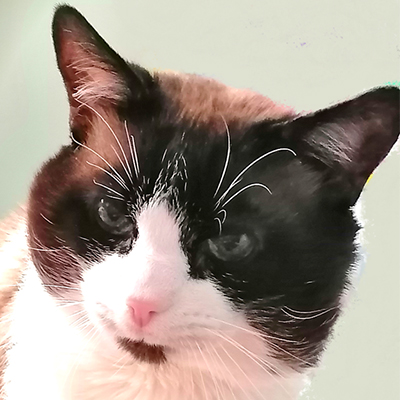 Bosques del Silencio