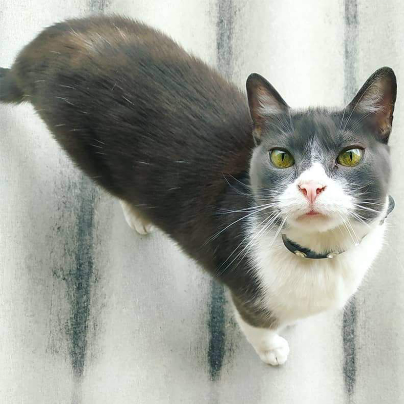 Bosques del Silencio