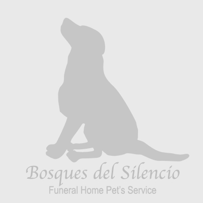 Bosques del Silencio